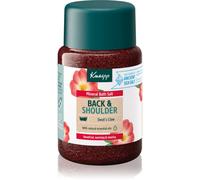 Kneipp Back & Shoulder sel de bain Devil's Claw 500 g