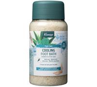 Kneipp Cristaux de bain de pieds - Refroidissement - Sels de bain de pieds - Menthe d'eau à l'aloe vera - Vegan - 1 pièce - 600 grammes
