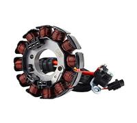 KNGFWBSW Bobine de stator Compatible avec Yamaha WR450F 2007 2008 2009 2010 2011 5TJ-81410-40 5TJ-81410-50 5TJ-81410-51 Bobine de générateur WRF WR 450F 450 F