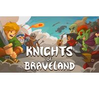 Knights of Braveland (Nintendo)