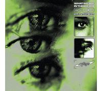 What We See in Their Eyes