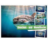 Knochen - und Mondfische (Wandkalender 2027 DIN A2 quer), CALVENDO Monatskalender: Ein Fisch, der wie ein verlorenes Stück Himmel durch die Tiefe schwebt.
