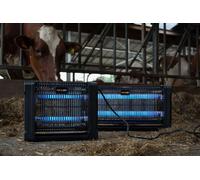 Knock Pest Lampe à insectes 2x15 Watt