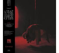 Knocked Loose - Knocked Loose-A Tear in The Fabric of Life