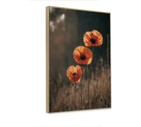 KNOR WALL ART toile sur châssis 60x90 Champ de coquelicots