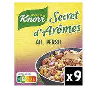 KNORR - Assaisonnement Saveur Ail Persil, Rehaussez Vos Plats Facilement (9 Tablettes 10g) - Le Lot De 4