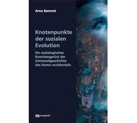 Knotenpunkte der sozialen Evolution: Ein soziologisches Knochengerüst der Universalgeschichte des Homo occidentalis