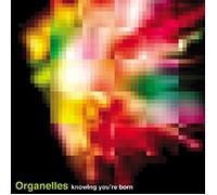 Knowing You Born [Re-Issue] [Import]