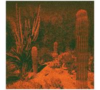 Knowler,Cameron / Winter,Eli - Anticipation [Vinyl Lp]