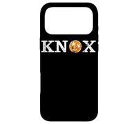 Knoxville Tennessee Drapeau d'État Orange Blanc Distressed Knox Coque pour iPhone 17 Pro Max