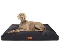 Knuffelwuff Coussin pour Chien Gatsby en Tissu Oxford 110x89cm Noir - sous-Sol antidérapant - Facile à Nettoyer - pour Les Chiens de Grande, Moyenne et Petite Taille