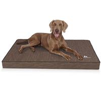 Knuffelwuff Palomino Tapis orthopédique pour chien, en cuir synthétique matelassé au laser, taille XL, 100 x 70 cm, marron, dessous antidérapant, facile à nettoyer, pour chiens de grande, moyenne et