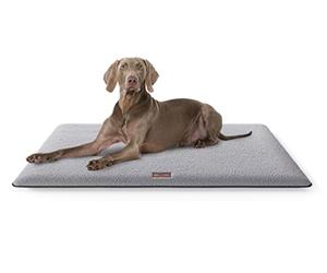 Knuffelwuff Tapis Douillet pour Chien, Calliope, en Peluche, 100 x 70 cm, Gris, Coussin pour Chiens de Grande, Moyenne et Petite Taille, pour la Maison, la Voiture, Le Camping-Car, la Caravane