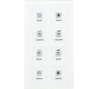 KNX Glastaster 8fach Plus mit Tempsensor weiß inkl. Beschriftungsf