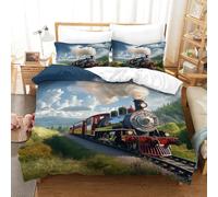 KOABERUVN 3D, Imprimé Train à Vapeur Ensemble De Literie Microfibre Super Douce Et Respirante Housses De Couettes 3 Pièces Et Taie d'oreiller Single（140x200cm）