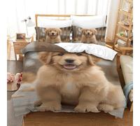KOABERUVN Golden Retriever Chien Housse De Couette Parure De Lit 3 Pièces Impression 3D avec Taie d'oreiller Et Fermeture Éclair,Couette en Microfibre pour Adultes Enfants Single（140x200cm）