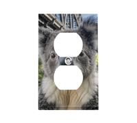 Koala Cache-prise photo portrait avec vis - En acier inoxydable résistant à la chaleur et aux chocs - Plaque murale standard américaine pour décoration d'intérieur
