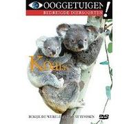 KOALA S-HET KOALA DILEMMA-VN G