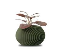 Koala Studio Céleste - Pot Décoration d'Intérieur pour Plantes Synthétiques, Succulentes & Cactus Design - Original Petit Mini Cache-Pot Maison Salon (Vert Mat)