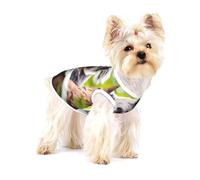 Koala Tree Hold T-shirt pour chien de qualité supérieure - 100 % coton doux Ropa Para Perros, parfait pour les chiens de petite et moyenne taille, chemise élégante et confortable pour chiens, taille M