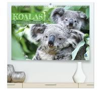 Koalas: die flauschigen Herzensbrecher (hochwertiger Premium Wandkalender 2026 DIN A2 quer), Kunstdruck in Hochglanz: Koalas: Lebende Teddybären aus Australien