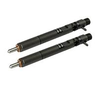 Koanhinn Lot de 2 injecteurs de carburant CRDI EJBR02901D pour Terracan Sedona 2.9 33800-4X800