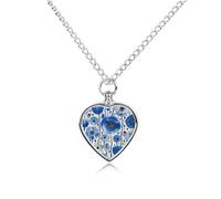 KOAYUBFC Collier pour cendres d'animaux domestiques avec kit de remplissage - Chaîne de 70 cm - Urne funéraire commémorative - Souvenir pour cendres humaines - Chiens et chats - Cadeau de condoléances