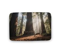 KOAYUBFC Tapis de salle de bain luxueux, doux et moelleux, absorbant, motif arbre géant, forêt, tapis de salle de bain pour sols de salle de bain, baignoires et douches