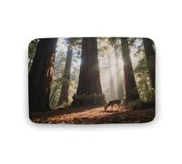 KOAYUBFC Tapis de salle de bain luxueux, doux et moelleux, absorbant, motif arbre géant, forêt, tapis de salle de bain pour sols de salle de bain, baignoires et douches