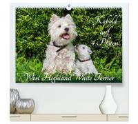 Kobold auf 4 Pfoten - West Highland White Terrier (hochwertiger Premium Wandkalender 2026 DIN A2 quer), Kunstdruck in Hochglanz: West Highland White ... auf bezaubernden Fotos durch das Jahr