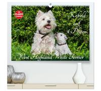 Kobold auf 4 Pfoten - West Highland White Terrier (hochwertiger Premium Wandkalender 2026 DIN A2 quer), Kunstdruck in Hochglanz: West Highland White ... auf bezaubernden Fotos durch das Jahr