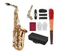 KOCAN saxophone,Saxophone,Saxophone Sax Eb Be Alto E Plat Brass Sculpté Motif sur Surface Embouchure Plastique Exquise avec Gants Chiffon de Nettoyage Brosse Sangles