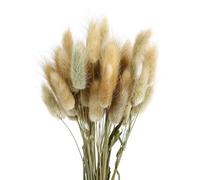 KOCKSHION Bouquet de Fleurs Séchées Queue de Lapin Naturel , Décoration Intérieure Champêtre , 1 Botte 50 Pièces , Ornement pour Noël et Mariage