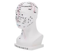 KOCKSHION Modèle De Tête Acupuncture Pour Enseignement Précision Des Points De Massage Outil Éducatif Pour Démonstrations Classe