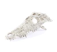 Kocris Casa Decoration Terrarium Squelette Dinosaure Décoration D'Aquarium Décor Paysagère pour Aquarium Crane Tete De Mort Halloween Decoration Deco Crâne