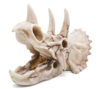 Kocris Casa Dinosaure Crane Décoration D'Aquarium Décor Decoration Statues Halloween Tete De Mort Decoration Deco Crâne Terrarium Squelette Paysagère pour Aquarium