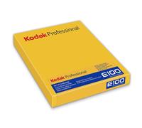 KODAK Ektachrome E100 8X10 Inch (10 Films)