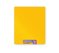 Kodak Portra 400 ¿ Film Négatif Couleur 8x10, ISO 400, Grain Fin, 10 Feuilles