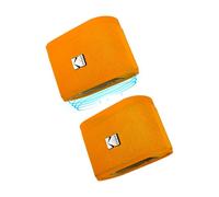 Kodak Enceintes portables SOUNDBRIX x2 – Connexion jusqu'à 100, Dock magnétique, 5W, 3h – Orange