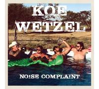 Noise Complaint