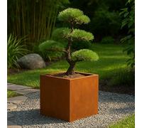 Köhko® Pot de fleurs design en Cortenstahl VIVO 37 x 37 x 32 cm | Pot de plantation aspect rouille noble en forme de parallélépipède