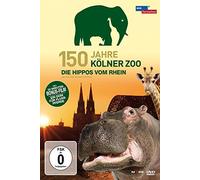 Kölner Zoo - 150 Jahre Kölner Zoo-die Hippos Vom Rhein