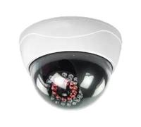 SAS-DUMMYCAM95 - Fausse caméra de surveillance