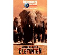 Königreich der Elefanten - Discovery Channel [VHS] [Import allemand]