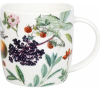 Könitz Becher My favourite Tea - Fruits & Herbs, New Bone China, Bunt, 400 ml, 11 7 275 2969