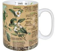 Könitz Knowledge Mug Tea Knowledge, Tasse à café, Tasse, mug, Porcelaine, 490 ML