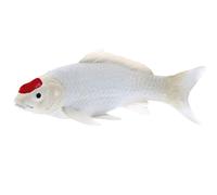 Koi Carp Tancho Point Rouge Environ 13 Cm De Long Mojo Fun 381101