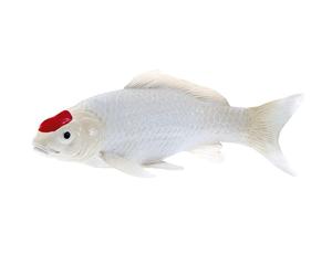 Koi Carp Tancho Point Rouge Environ 13 Cm De Long Mojo Fun 381101