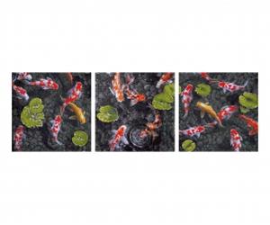 Koï - Joyaux dans l'étang aux poissons Triptyque - Peinture par numéros