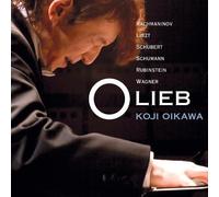 Koji Oikawa - AI No Yume [Import]